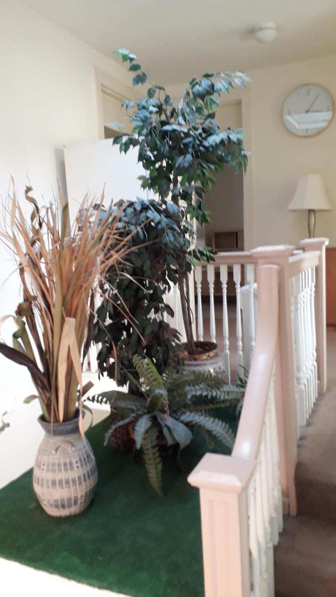 Pleasant Rooming House Washington Luaran gambar